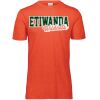 3065 Adult Extra Soft Tri-Blend T-Shirt Thumbnail